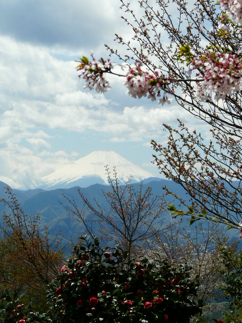 e0145782_19275667.jpg