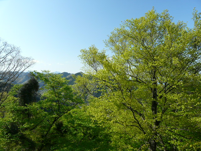 e0145782_19293357.jpg