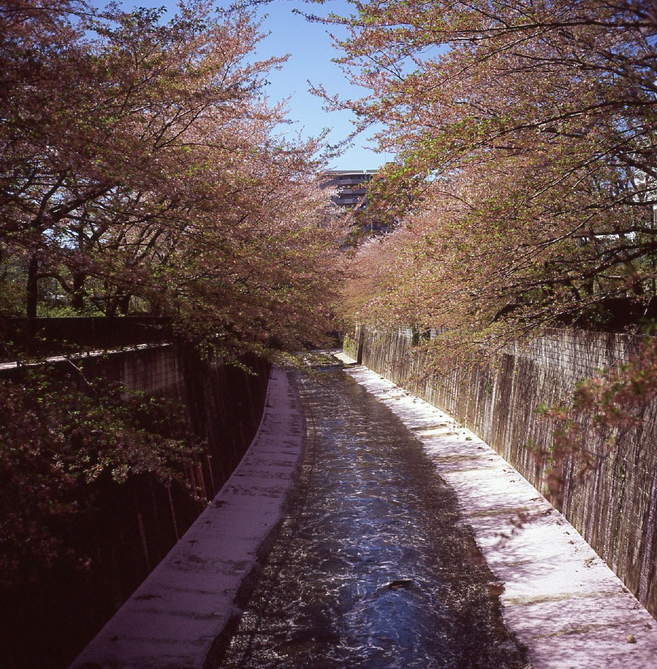 b0160184_2355158.jpg