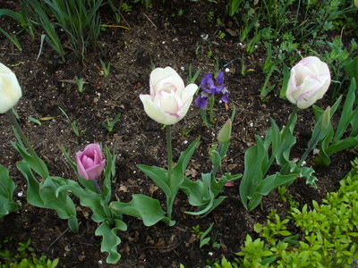 e0026586_11335227.jpg