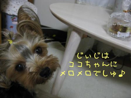 f0143386_23134063.jpg