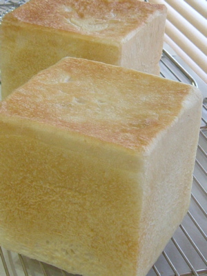 e0030587_150838.jpg