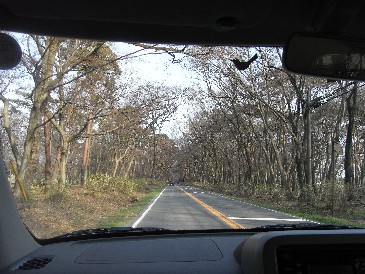 c0180788_18155447.jpg