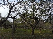 c0180788_18313388.jpg