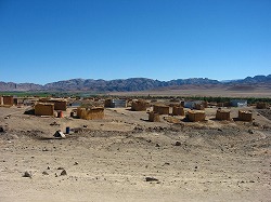 a0003089_87212.jpg