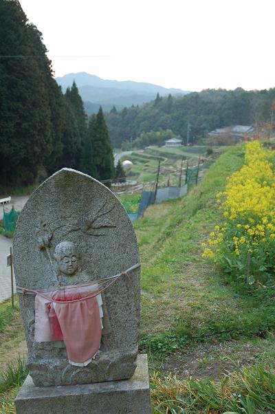 b0100489_332249.jpg