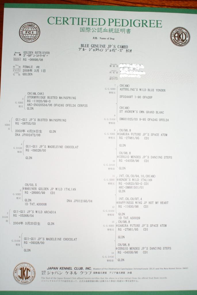e0161194_17515562.jpg