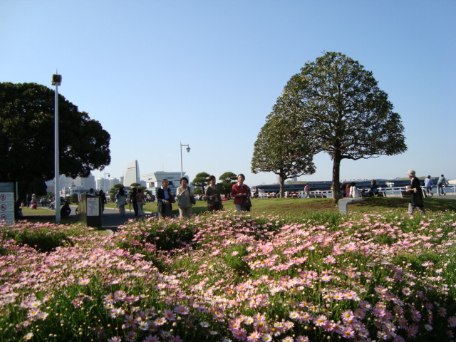 f0137694_20185688.jpg
