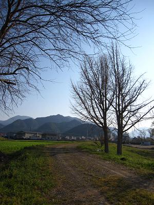 c0118495_1417851.jpg