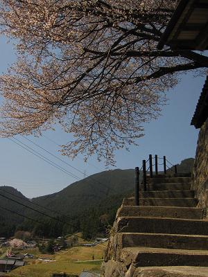 c0118495_14235779.jpg