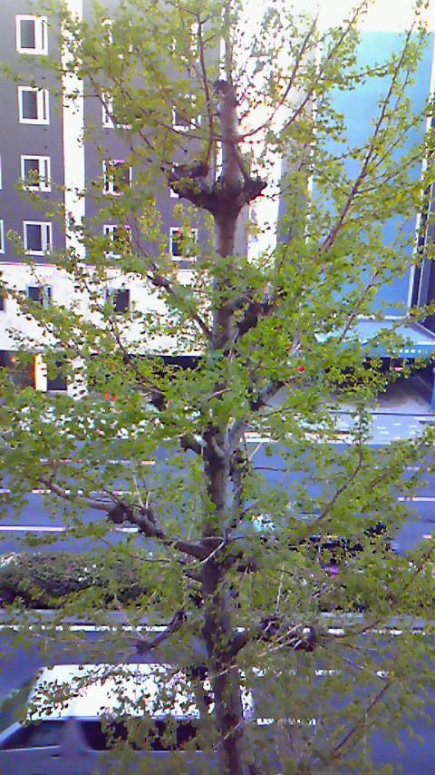 e0156298_2256757.jpg