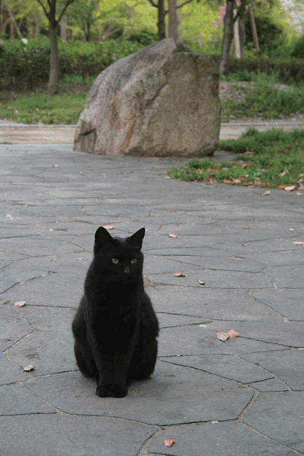 f0083400_21172282.gif