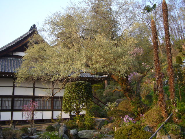 b0114403_9452831.jpg