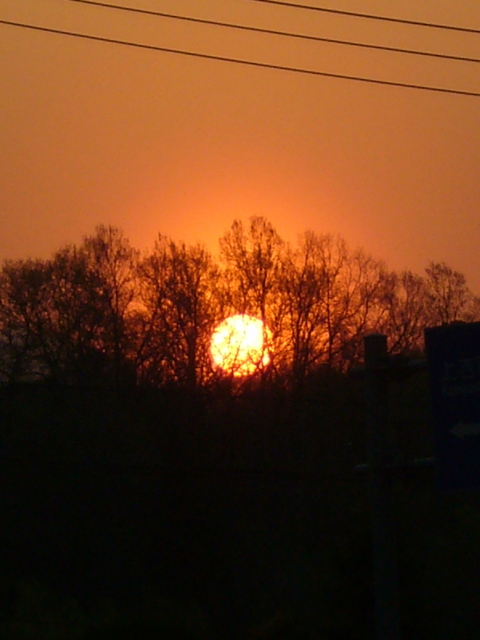 b0114403_9484983.jpg