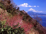 c0187004_847030.jpg