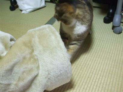 c0103205_22315797.jpg