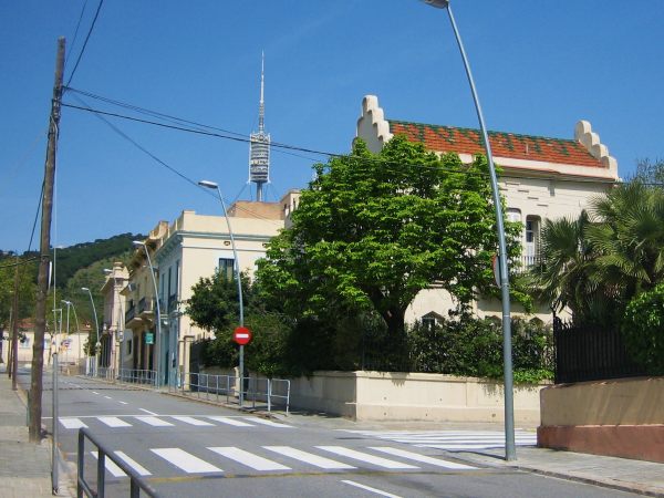 b0064411_1552584.jpg