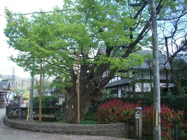 d0007913_17561346.jpg