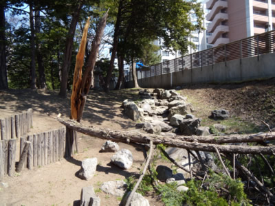 e0126914_2312947.jpg