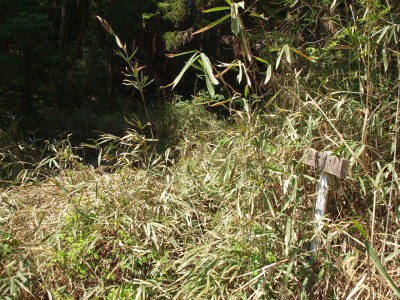 d0114517_1813388.jpg