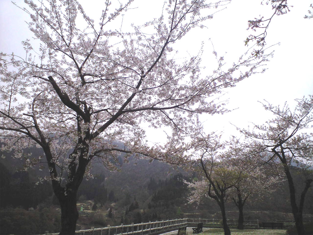 b0041918_9382990.jpg