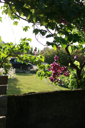 f0097620_0252365.jpg