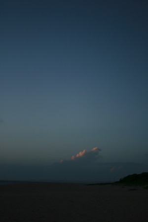 f0097620_0474615.jpg