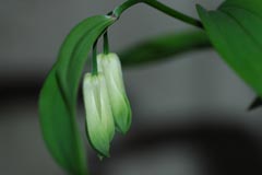 f0147025_9221470.jpg