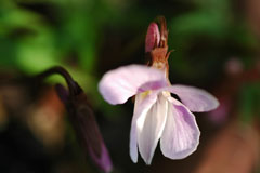 f0147025_9243675.jpg