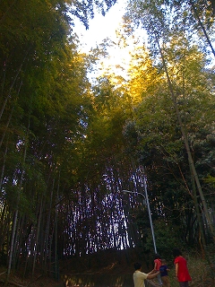 a0092129_2324190.jpg
