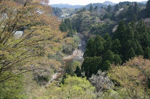 c0078829_15325263.jpg