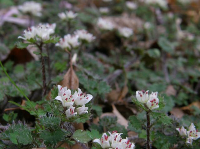 e0145033_11123128.jpg