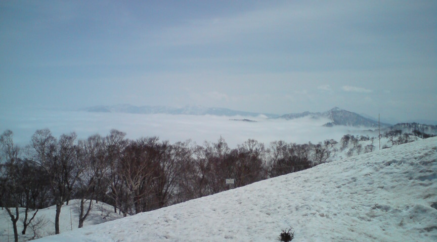 c0054838_1048541.jpg