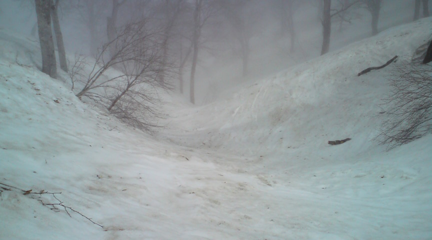 c0054838_1056511.jpg
