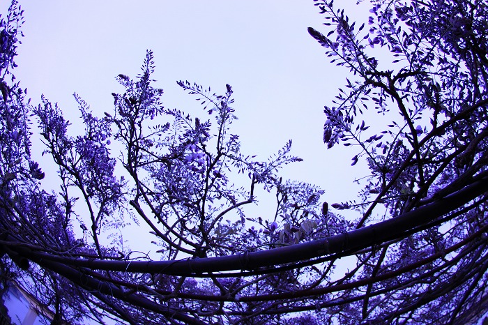 b0168041_20151466.jpg