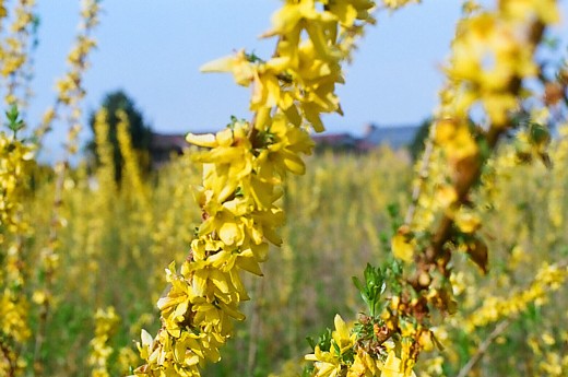 b0016043_2244950.jpg