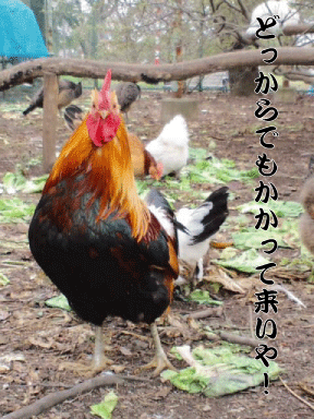 d0002143_23585415.gif
