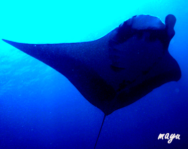 e0027447_23522214.jpg