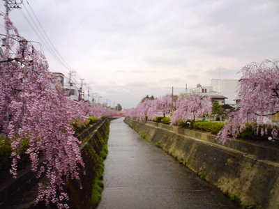 a0021448_2261878.jpg