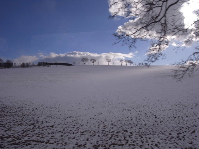 c0011649_031988.jpg