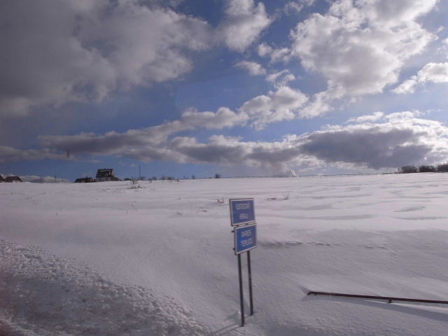 c0011649_0353460.jpg