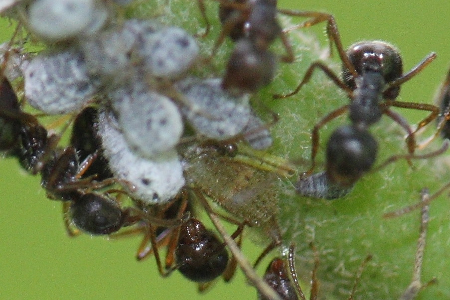 a0094850_21145085.jpg