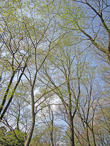 a0001354_22163749.jpg