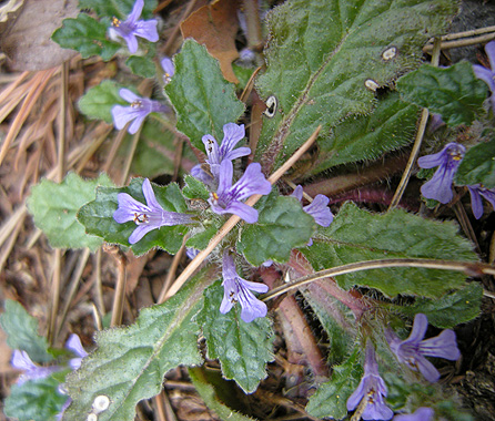 a0001354_2221560.jpg