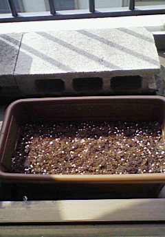 f0057456_033123.jpg