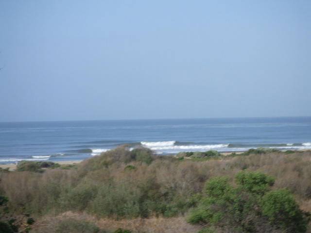 f0172157_638617.jpg