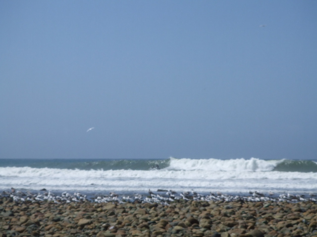 f0172157_6421941.jpg