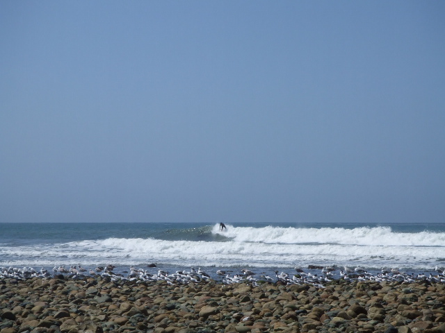 f0172157_6484533.jpg