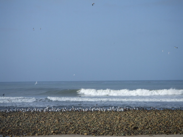 f0172157_6494233.jpg
