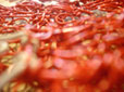 d0029958_19505856.jpg